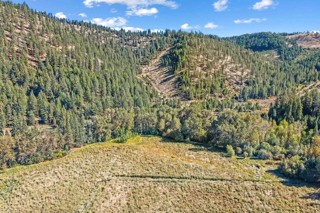 3979 Taylor Ranch Way Way, Loon Lake, WA 99148