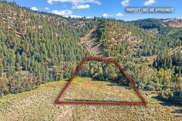 3979 Taylor Ranch Way Way, Loon Lake, WA 99148