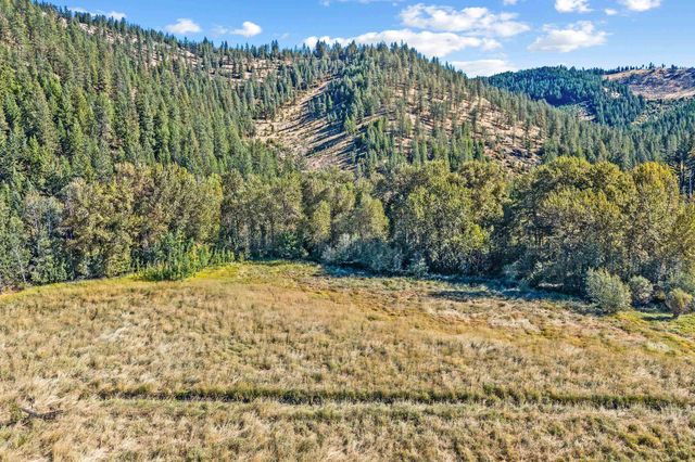3979 Taylor Ranch Way Way, Loon Lake, WA 99148