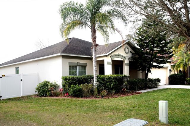 1319 ROWANTREE DRIVE, Dover, FL 33527