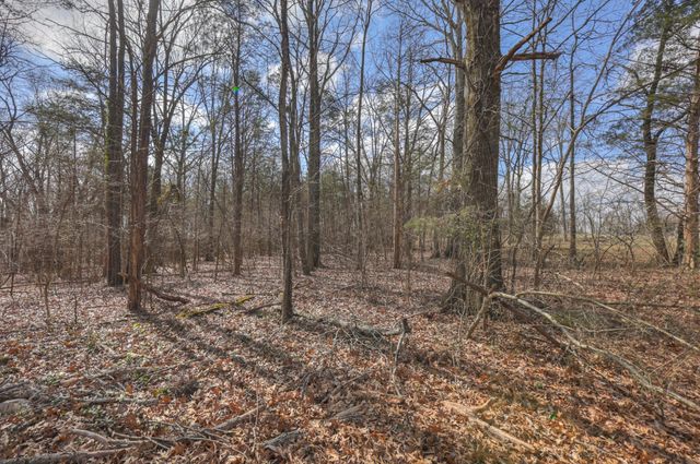 234 Bluegrass Cir, Lebanon, TN 37090