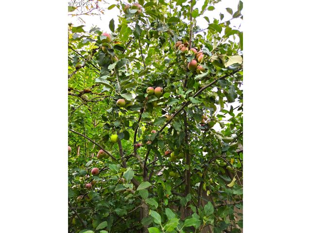 2120 Nw 9TH Ave, Battle Ground, WA 98604