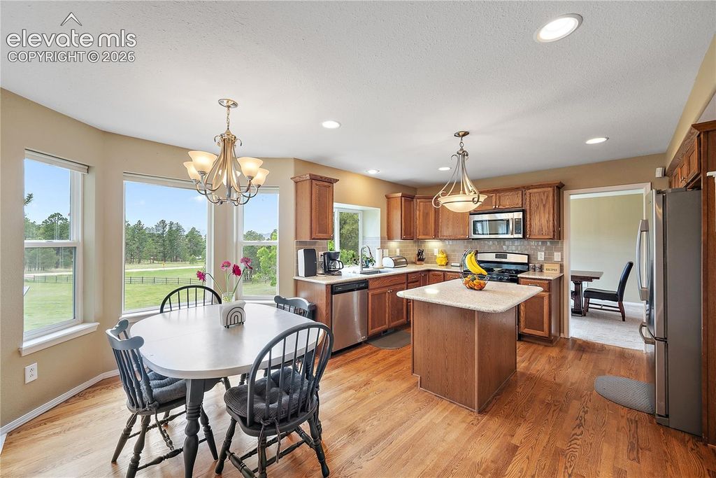 7950 Wranglers Way, Colorado Springs, CO 80908 — photo 3