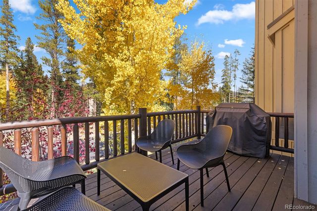 293 Settlers Drive, Breckenridge, CO 80424