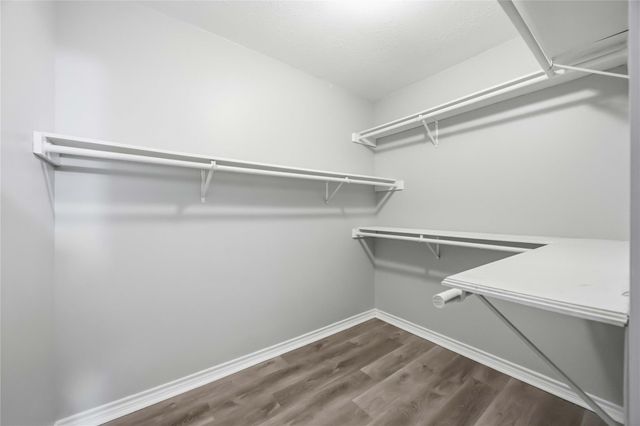 23619 Summer Pine Drive, Spring, TX 77373