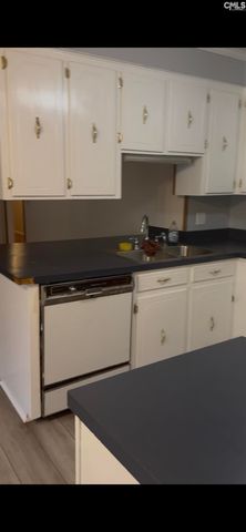 101 Bosworth Field Road, Columbia, SC 29212