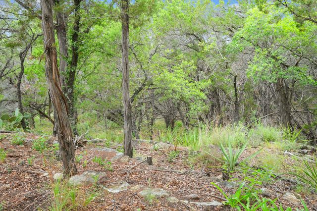 23070 Pedernales Canyon TRL, Spicewood, TX 78669