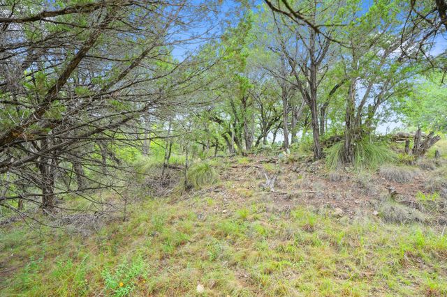 23070 Pedernales Canyon TRL, Spicewood, TX 78669