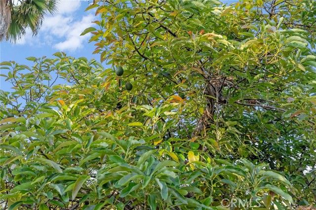 6731 Via De La Reina, Bonsall, CA 92003