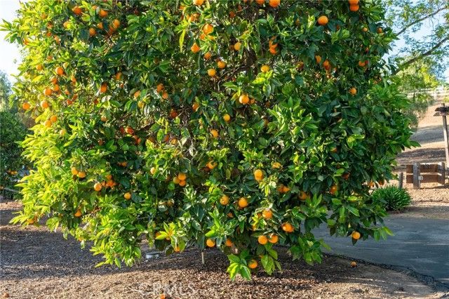 6731 Via De La Reina, Bonsall, CA 92003