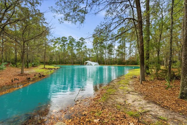 22028 Knights Cove Drive, Kingwood, TX 77339