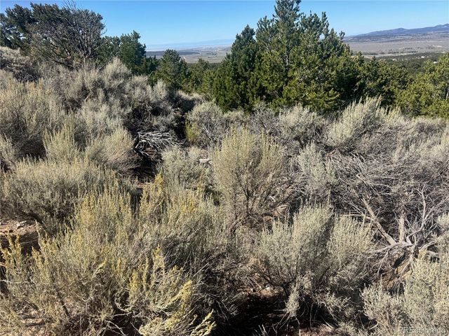 lot 7876 Stone Road, Fort Garland, CO 81133