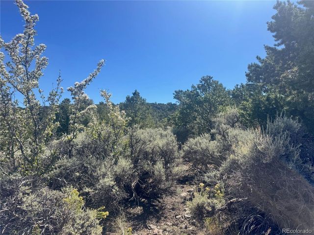 lot 7876 Stone Road, Fort Garland, CO 81133