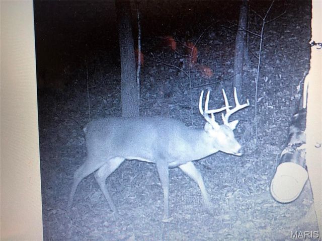 1222 Madison 9421, Fredericktown, MO 63645