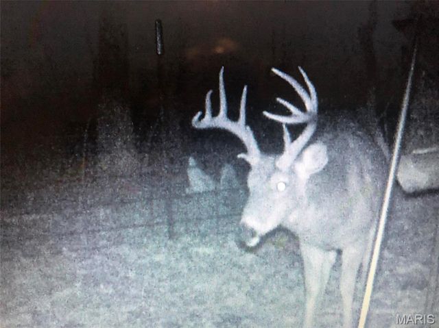 1222 Madison 9421, Fredericktown, MO 63645