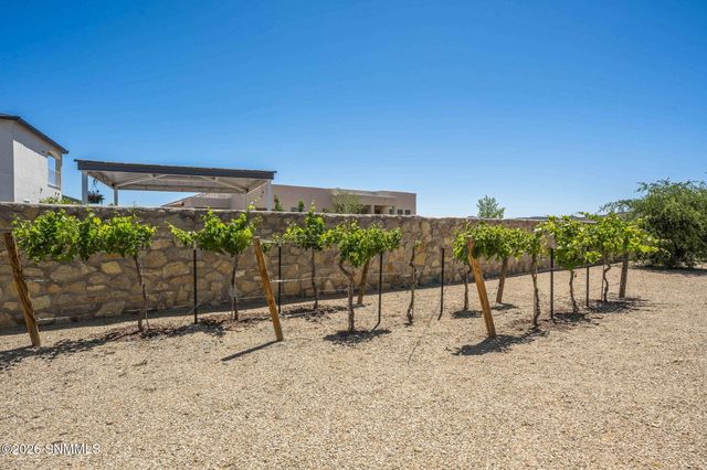 391 Red Cap Court, Las Cruces, NM 88007