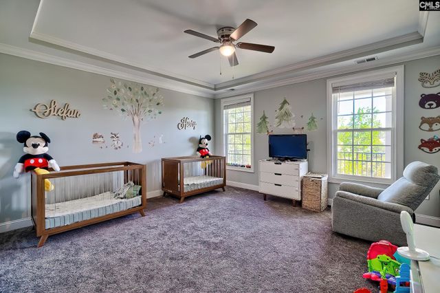 112 Bay Pointe Drive, Chapin, SC 29036