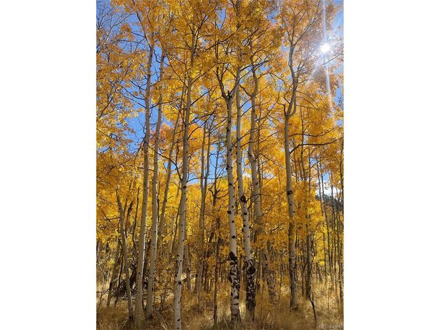 259 Bordenville Rd, Jefferson, CO 80456