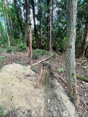 3 XXX NE 30th Street, Bremerton, WA 98310