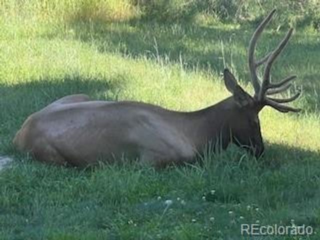 7262 S Sourdough Drive, Morrison, CO 80465