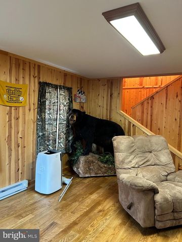 385 ELK CREEK RD, Aaronsburg, PA 16820