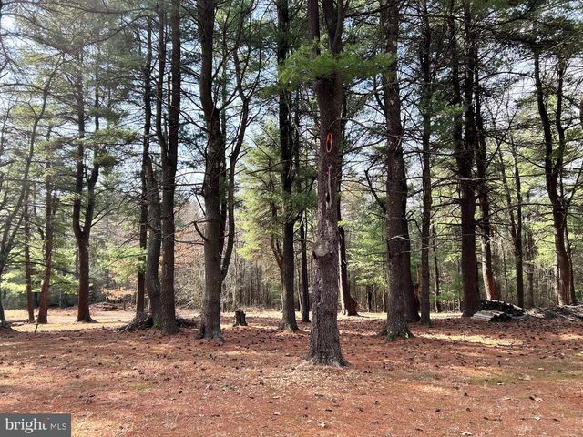 385 ELK CREEK RD, Aaronsburg, PA 16820