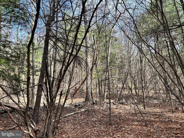 385 ELK CREEK RD, Aaronsburg, PA 16820