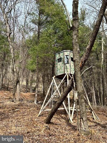 385 ELK CREEK RD, Aaronsburg, PA 16820