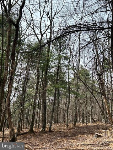 385 ELK CREEK RD, Aaronsburg, PA 16820