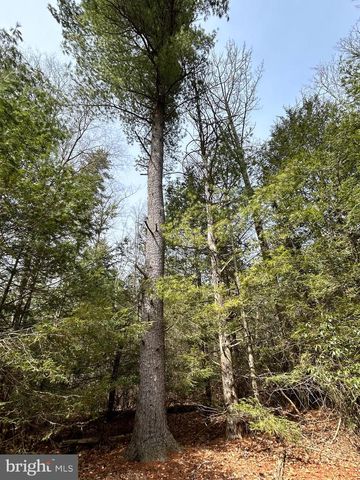 385 ELK CREEK RD, Aaronsburg, PA 16820