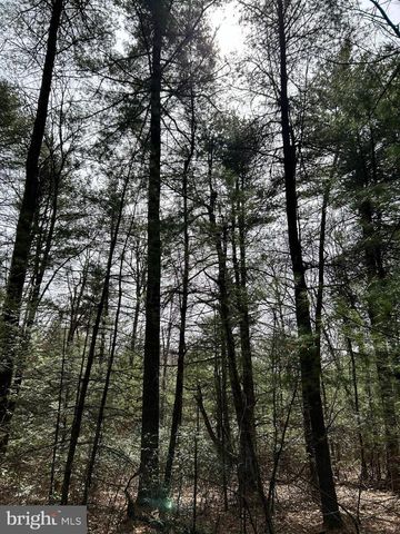 385 ELK CREEK RD, Aaronsburg, PA 16820