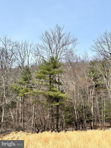 385 ELK CREEK RD, Aaronsburg, PA 16820