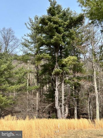 385 ELK CREEK RD, Aaronsburg, PA 16820