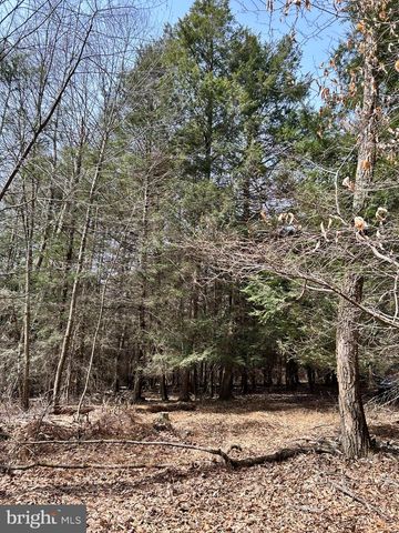 385 ELK CREEK RD, Aaronsburg, PA 16820