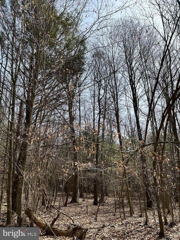 385 ELK CREEK RD, Aaronsburg, PA 16820