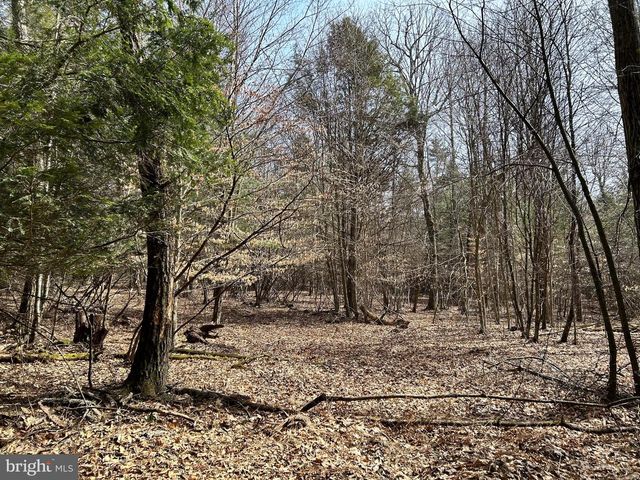 385 ELK CREEK RD, Aaronsburg, PA 16820