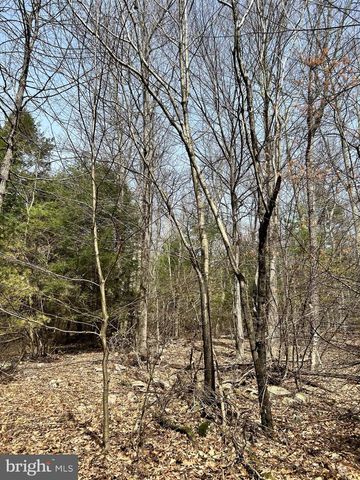 385 ELK CREEK RD, Aaronsburg, PA 16820