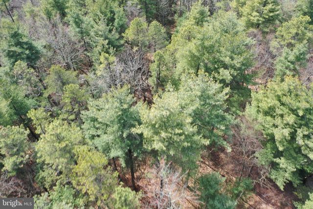 385 ELK CREEK RD, Aaronsburg, PA 16820