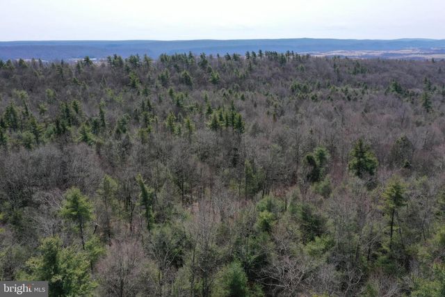 385 ELK CREEK RD, Aaronsburg, PA 16820