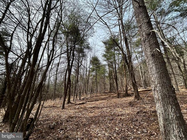 385 ELK CREEK RD, Aaronsburg, PA 16820