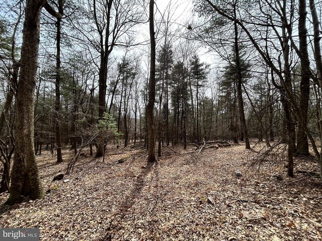 385 ELK CREEK RD, Aaronsburg, PA 16820