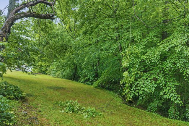 310 Hasty Hollow Rd, Lynchburg, TN 37352