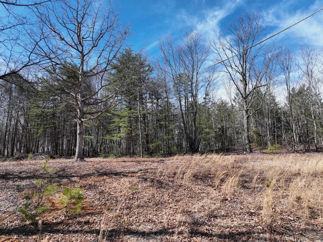 128 Green Oak LN, Patrick Springs, VA 24133
