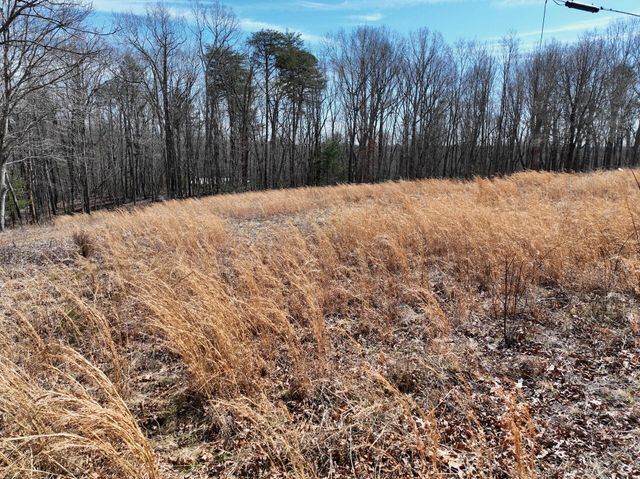 128 Green Oak LN, Patrick Springs, VA 24133