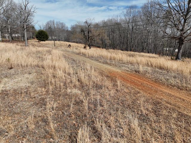 128 Green Oak LN, Patrick Springs, VA 24133