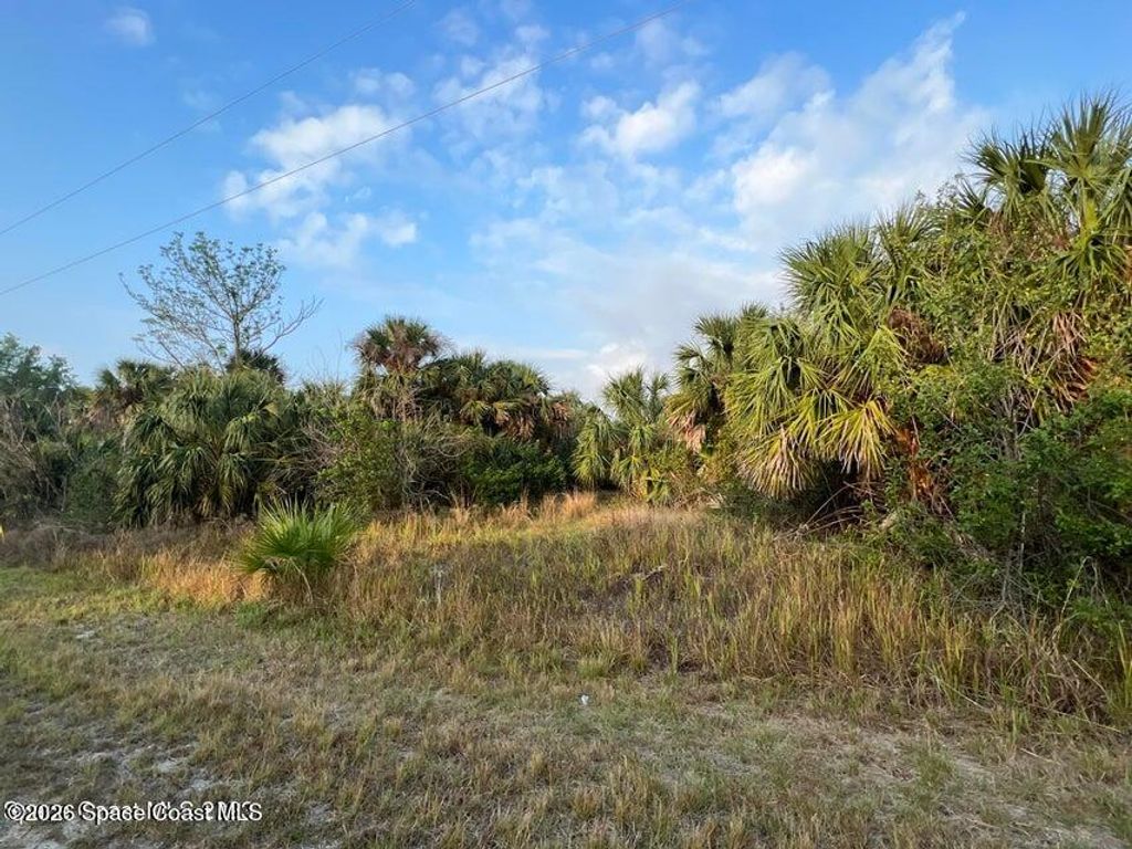 2044 Alwar Avenue SW, Palm Bay, FL 32908