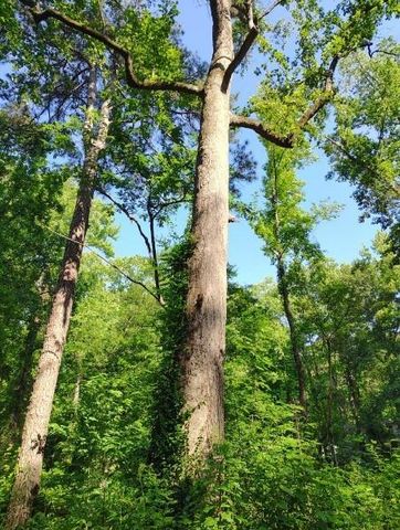 3403 Glenwood Road, Decatur, GA 30032