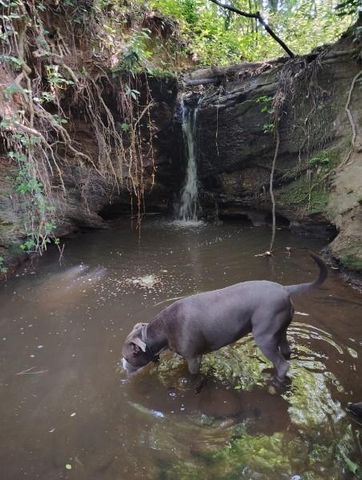 3403 Glenwood Road, Decatur, GA 30032