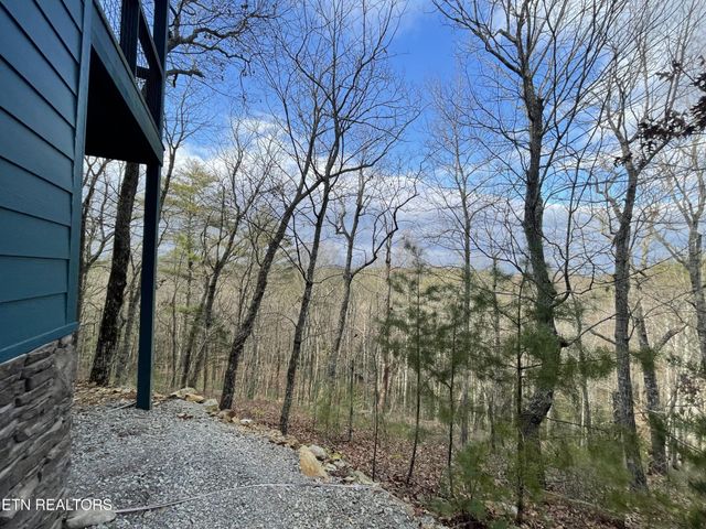 2500 Joe Brown Hwy, Tellico Plains, TN 37385