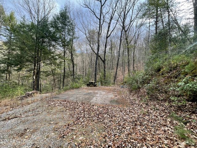 2500 Joe Brown Hwy, Tellico Plains, TN 37385